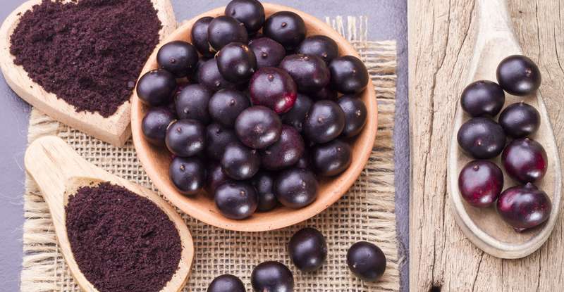 Acai Beeren tragen zu einer gesunden Ernährung bei, indem sie wenig Zucker liefern, dafür viele Proteine und Ballaststoffe. ( Lizenzdoku: Shutterstock-Alexander Ruiz Acevedo)