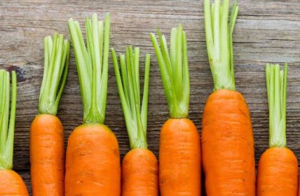 Neue Studie enthüllt: Warum orange Karotten? (Foto: AdobeStock - gitusik 104817362)